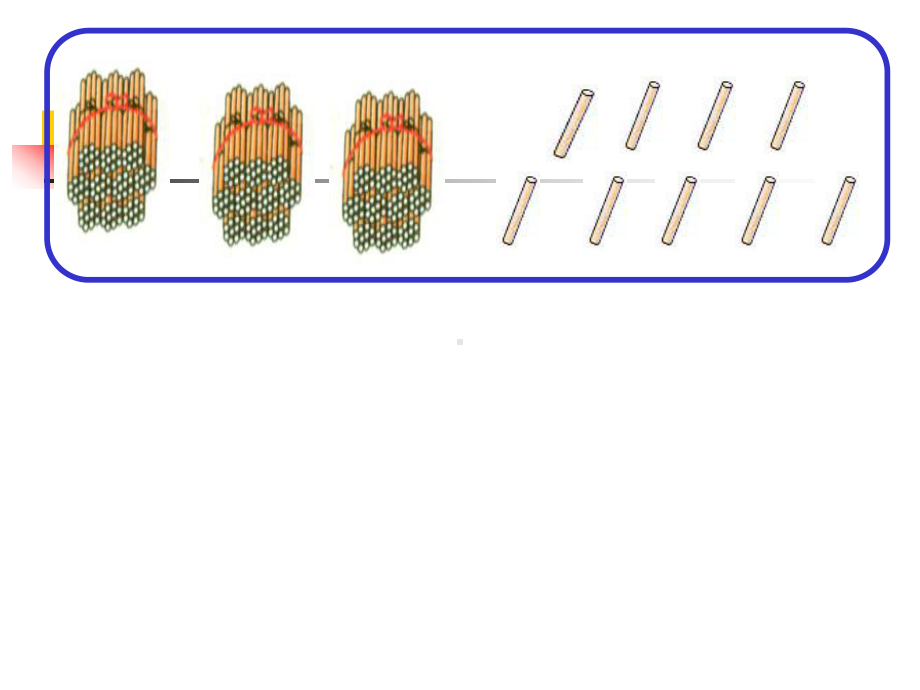 除数是一位数的除法课件.ppt_第2页