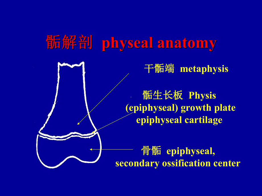 规避治疗儿童骨骺损伤的风险课件.ppt_第3页