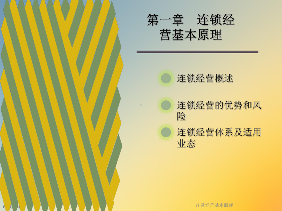 连锁经营基本原理课件.ppt_第2页