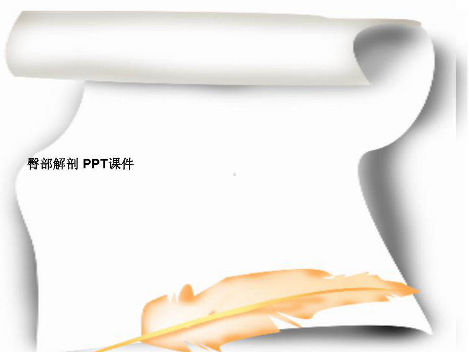 臀部解剖-PPT课件.ppt_第1页