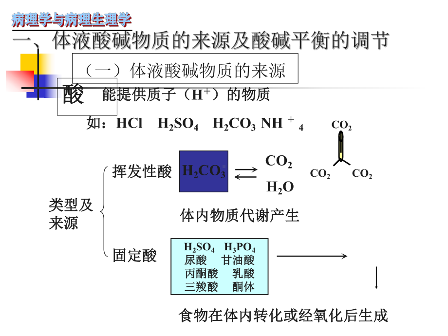 酸碱平衡ppt课件教学教案.ppt_第3页