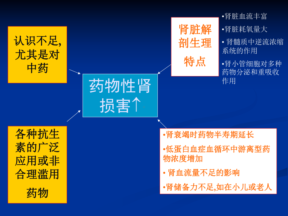 药物性肾损害课件.ppt_第3页