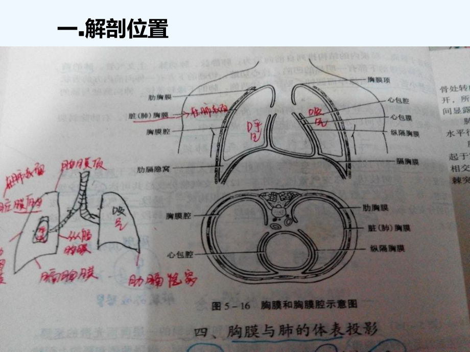 胸腔积液护理4[可修改版ppt]课件.ppt_第2页