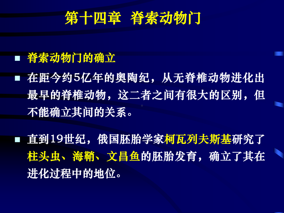 第14章脊索动物课件.ppt_第2页