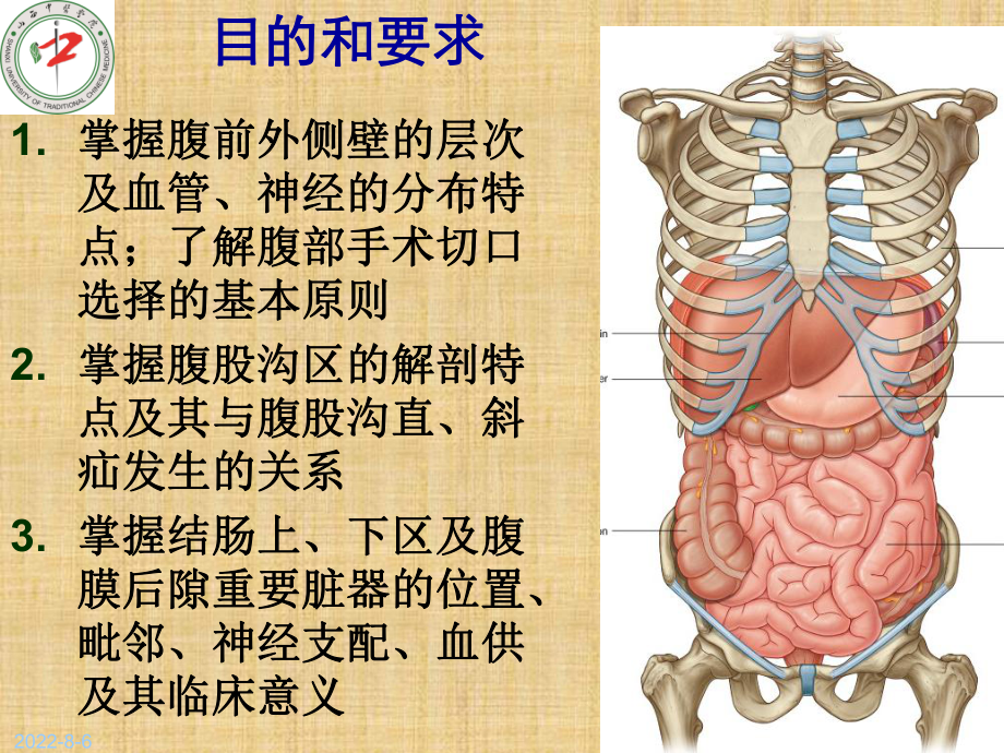 腹壁层次及腹股沟管精编版课件.ppt_第2页