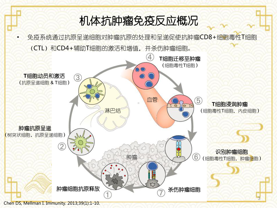 肿瘤免疫治疗进展和理论动态课件.ppt_第3页