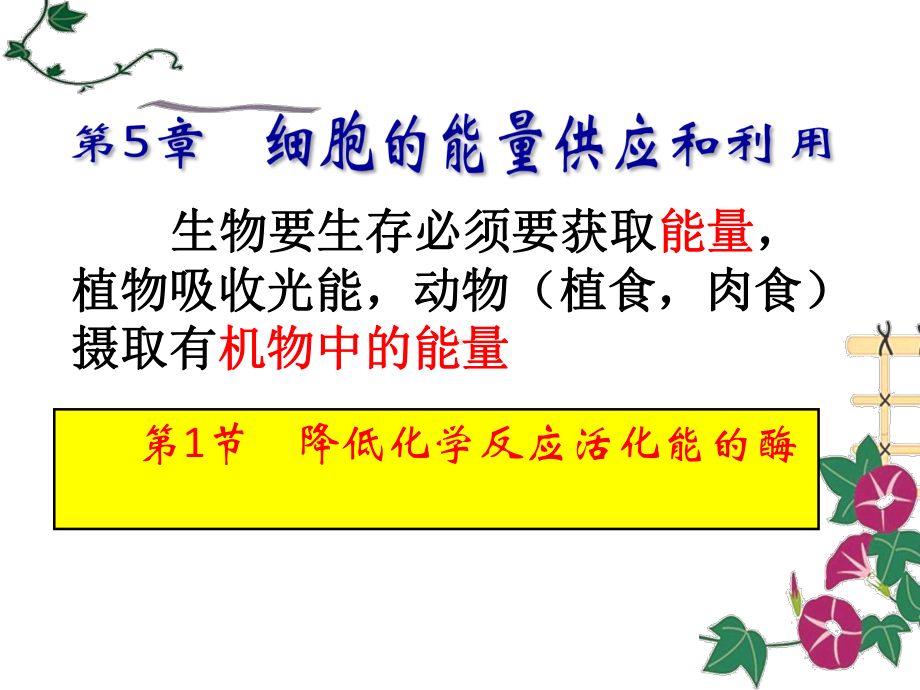 降低化学反应的活化能的酶课件.ppt_第1页