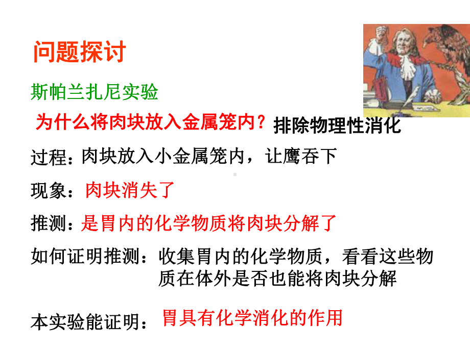 降低化学反应的活化能的酶课件.ppt_第3页