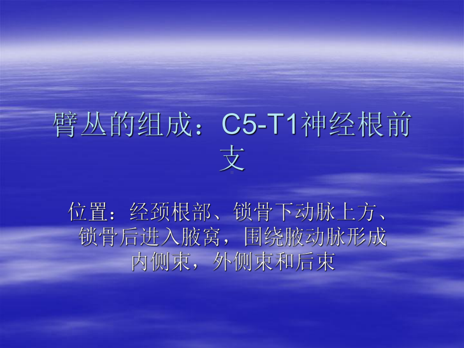 臂丛神经解剖课件.ppt_第3页