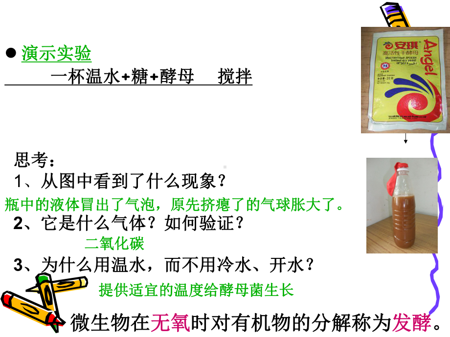 细菌真菌与食品的保存课件.ppt_第3页