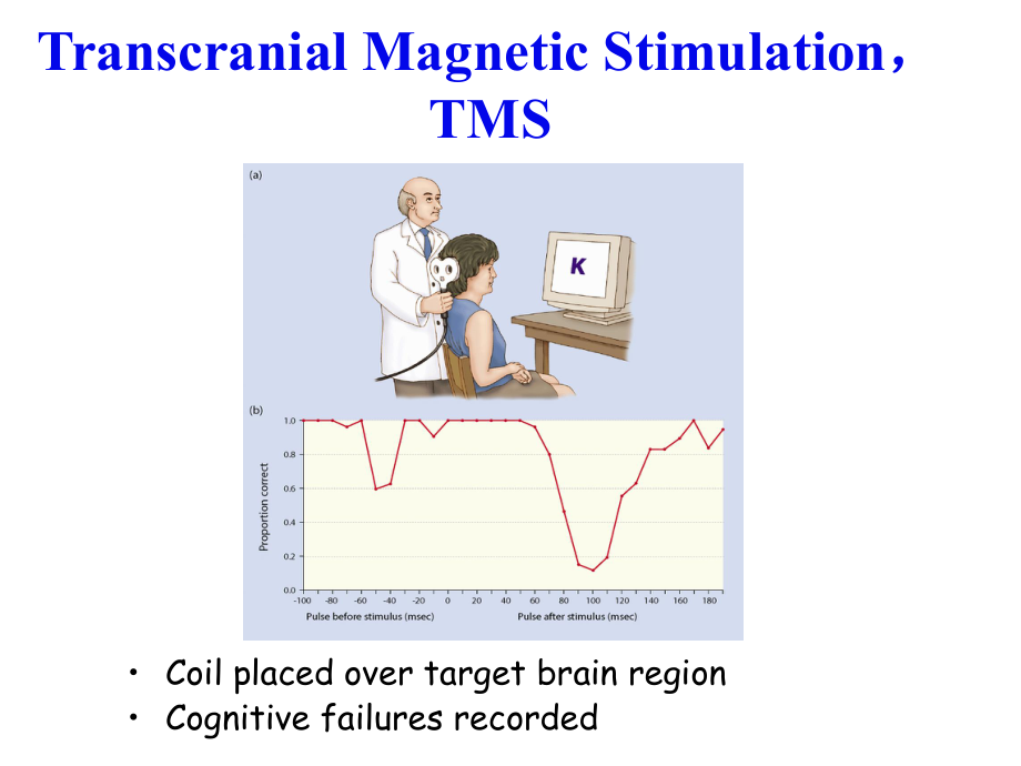 重复经颅磁刺激课件.ppt_第2页
