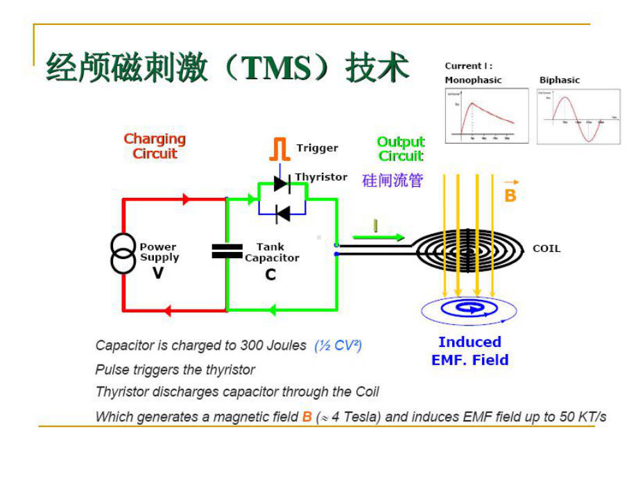 重复经颅磁刺激课件.ppt_第3页