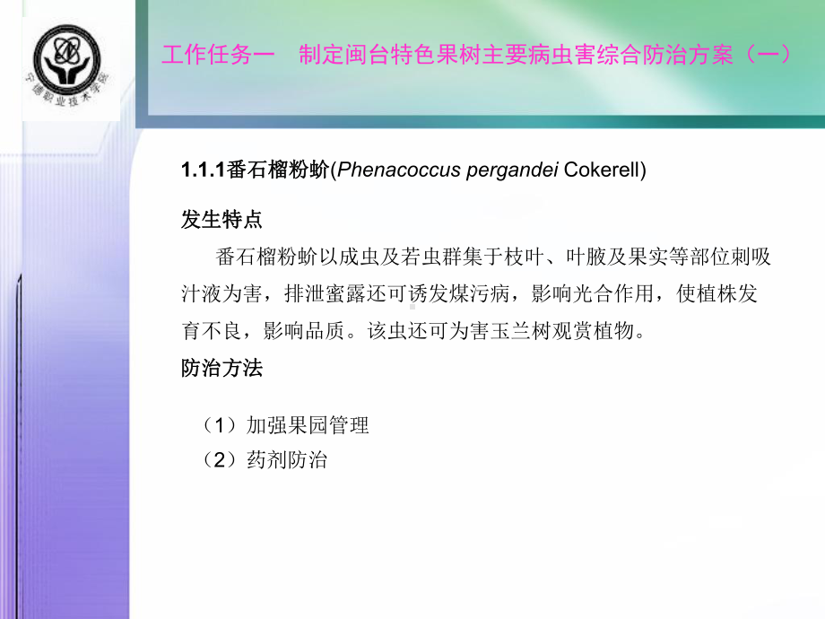 重要病害421番荔枝根腐病症状识别课件.ppt_第3页