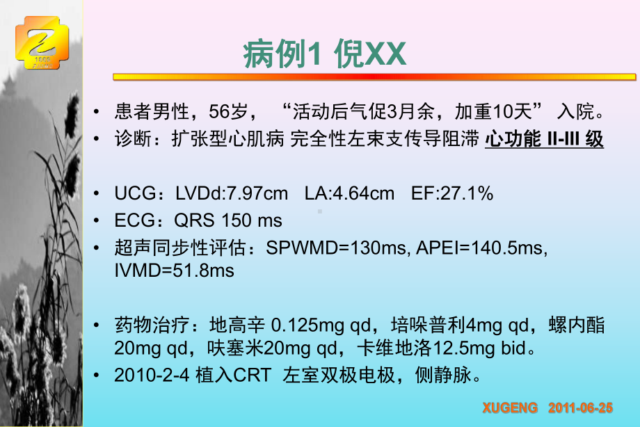 轻度心衰CRT时机已经来到循证医学证据解读课件.ppt_第3页