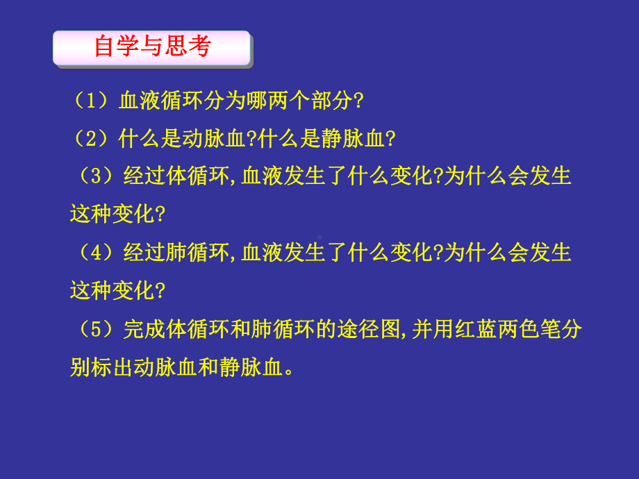 血液循环课件.ppt_第3页