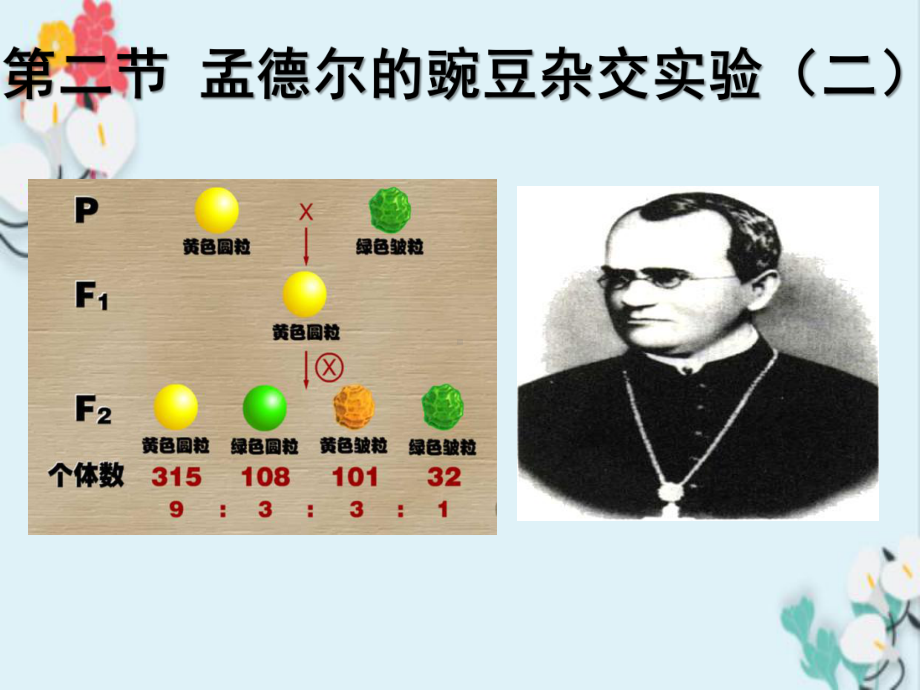 自由组合定律和应用课件.ppt_第2页