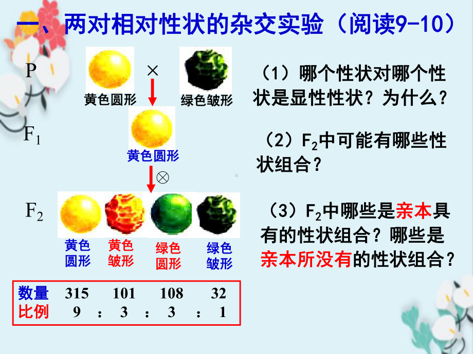 自由组合定律和应用课件.ppt_第3页