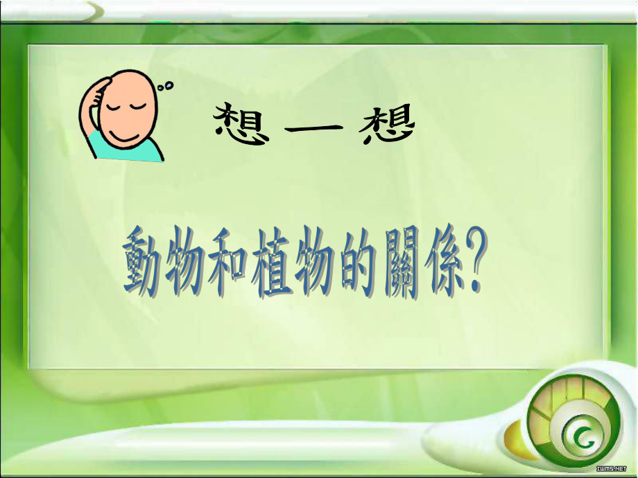 虎尾兰的生命力强悍课件.ppt_第2页