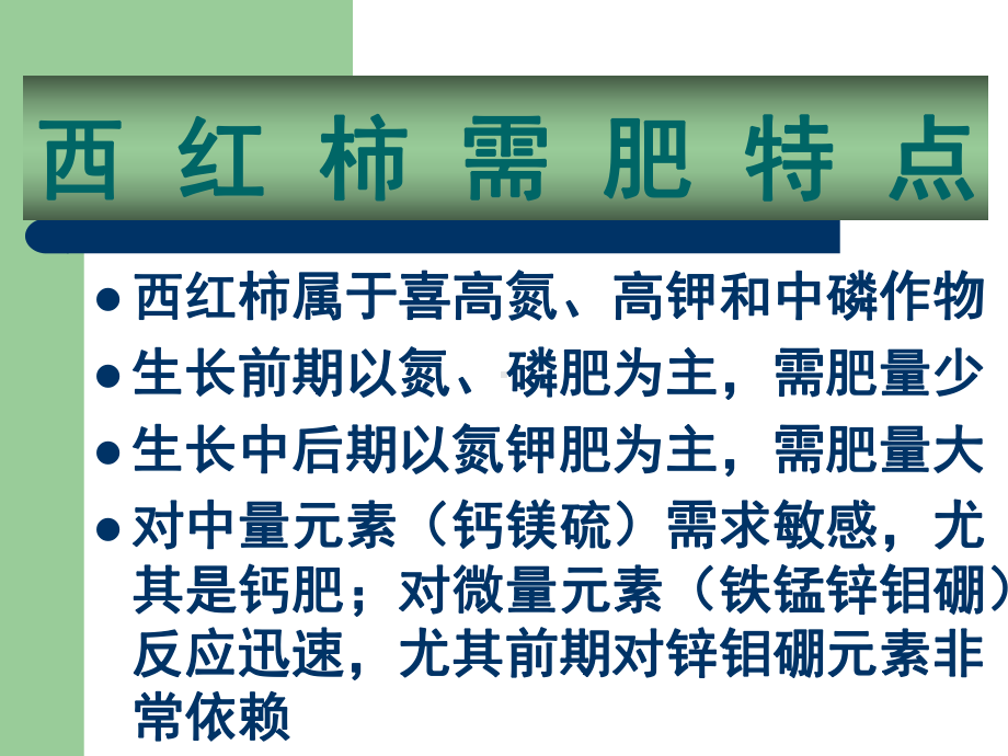 西红柿田间管理及主要病虫害防治课件.ppt_第3页