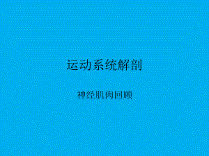 运动系统解剖-神经肌肉回顾课件.ppt