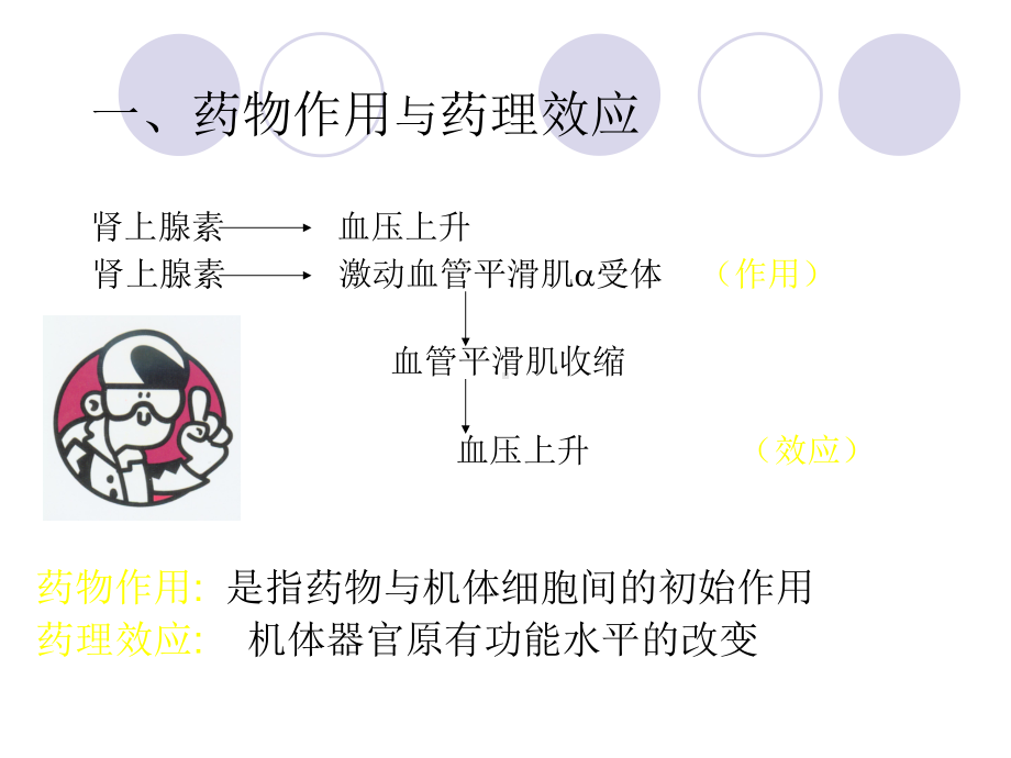 血浆蛋白结合肝脏代谢肾排泄课件.ppt_第3页