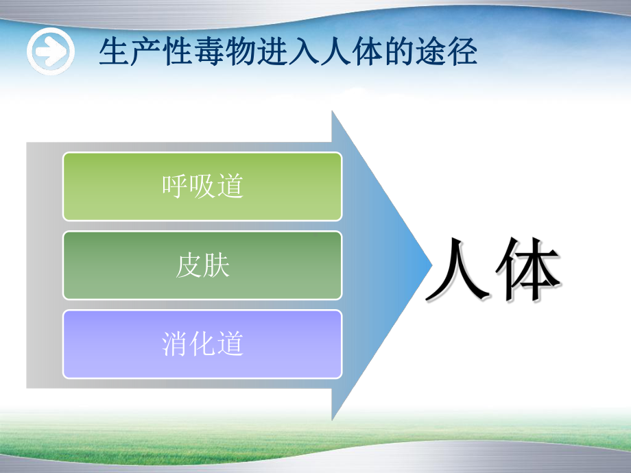 过滤式呼吸防护用品课件.ppt_第3页