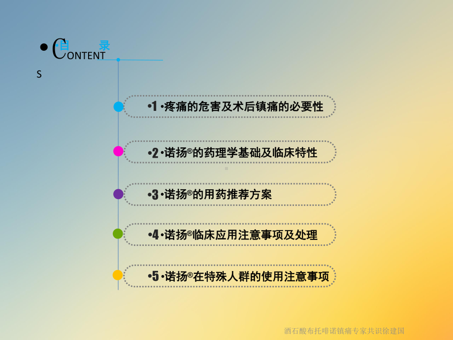 酒石酸布托啡诺镇痛专家共识课件.ppt_第2页