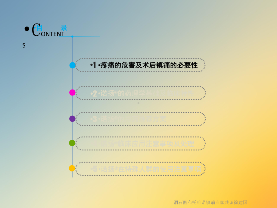 酒石酸布托啡诺镇痛专家共识课件.ppt_第3页