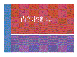 配套课件-内部控制学.ppt