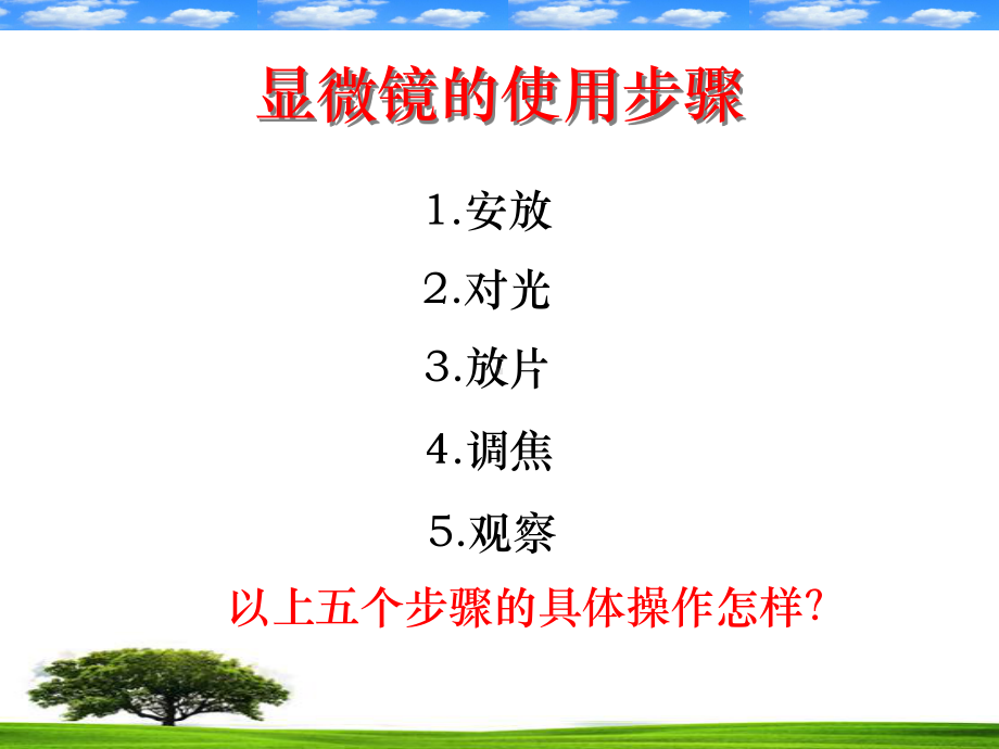 观察洋葱表皮细胞课件.ppt_第3页