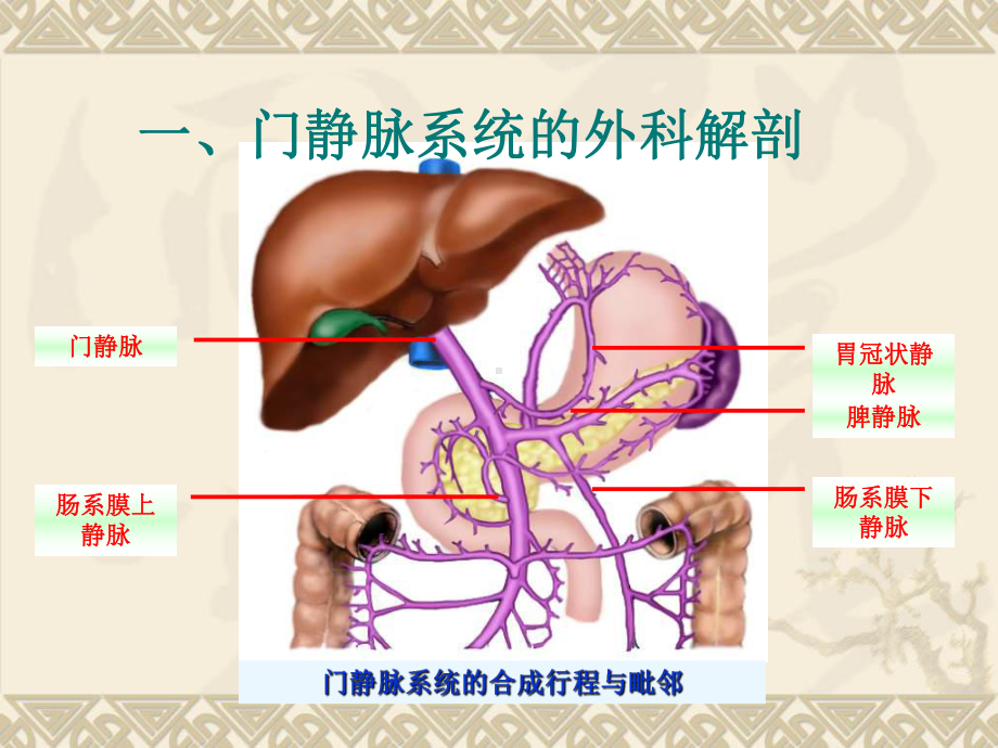 门静脉高压症的手术治疗4单纯脾切除课件.ppt_第2页