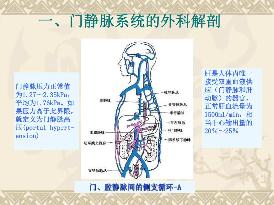 门静脉高压症的手术治疗4单纯脾切除课件.ppt_第3页