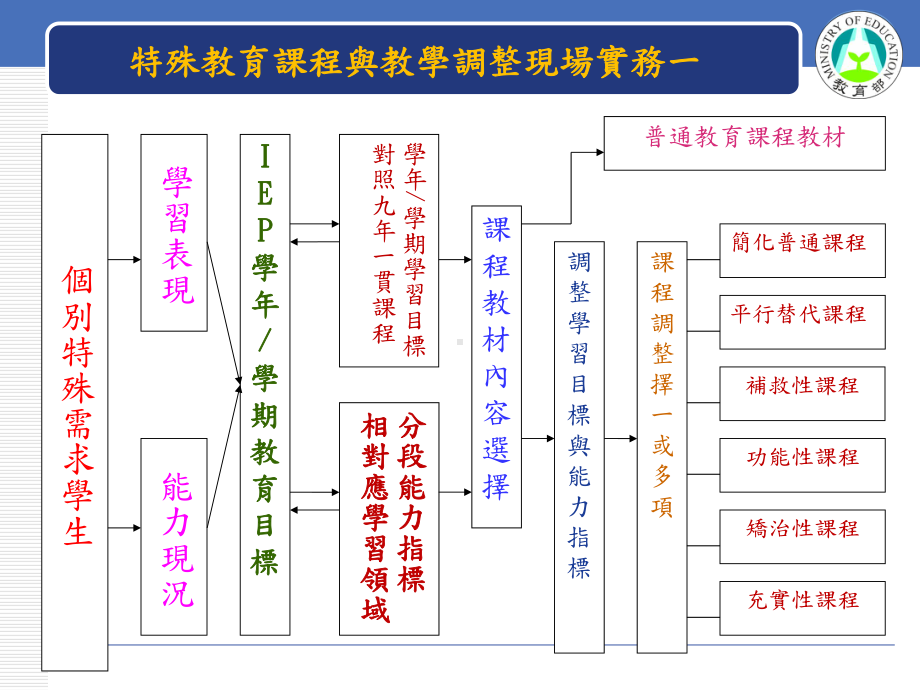 特殊教育课程与教学调整现场实务课件.ppt_第3页