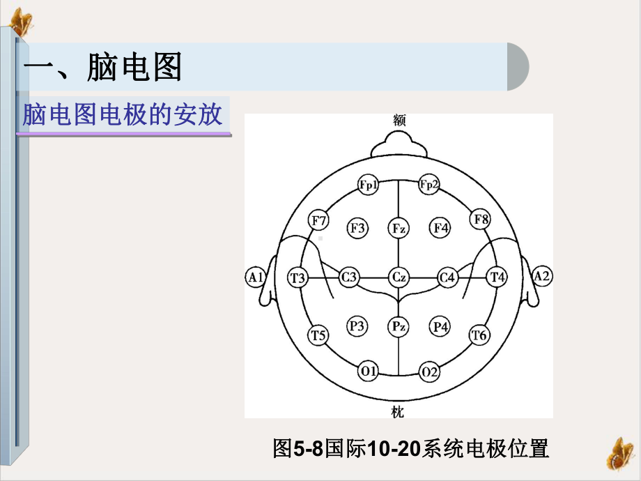 神经系统疾病的辅助检查ppt课件.pptx_第2页