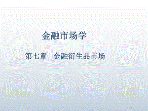 金融市场学第七章课件.ppt