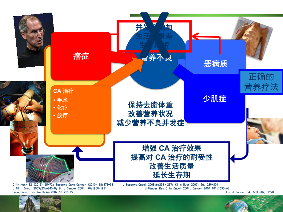 肿瘤营养风险筛查及营养状况评价-PPT课件.ppt_第3页