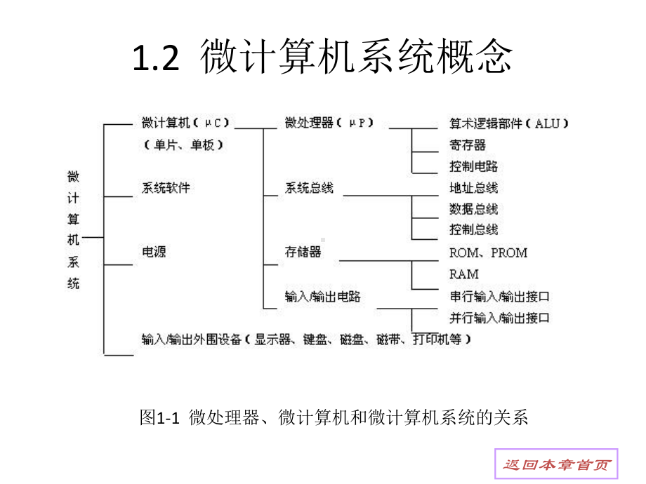 配套课件-单片微型计算机.ppt_第3页