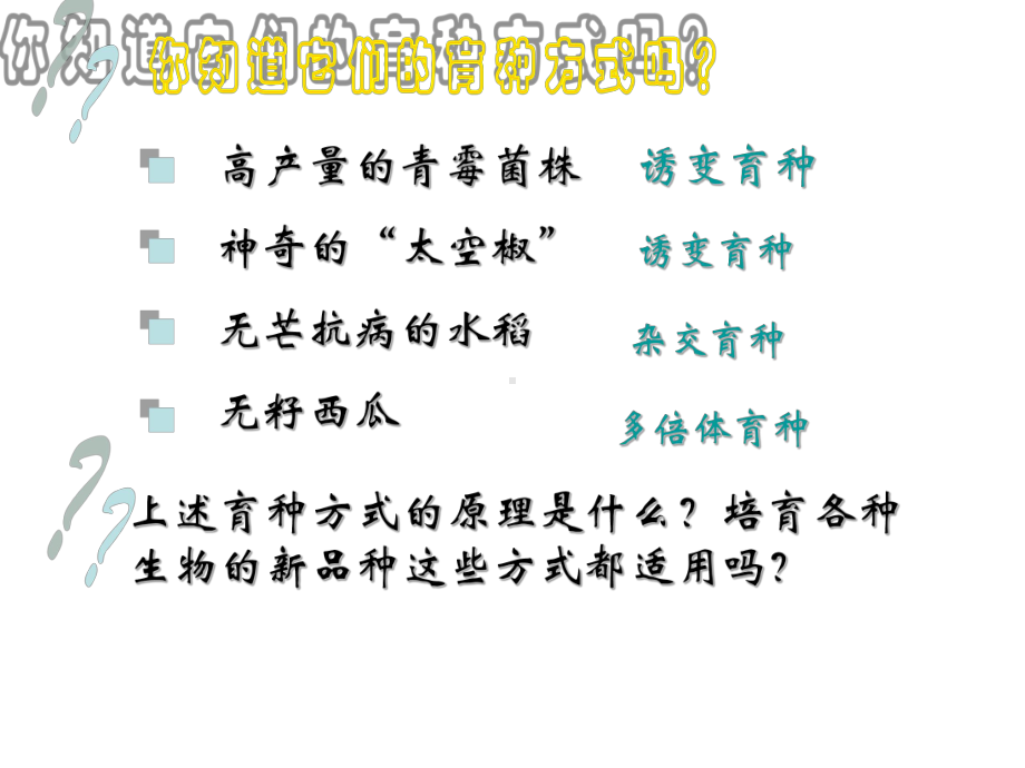 高产量的青霉菌株神奇的太空椒无芒抗病的水稻无籽西瓜课件11.ppt_第2页