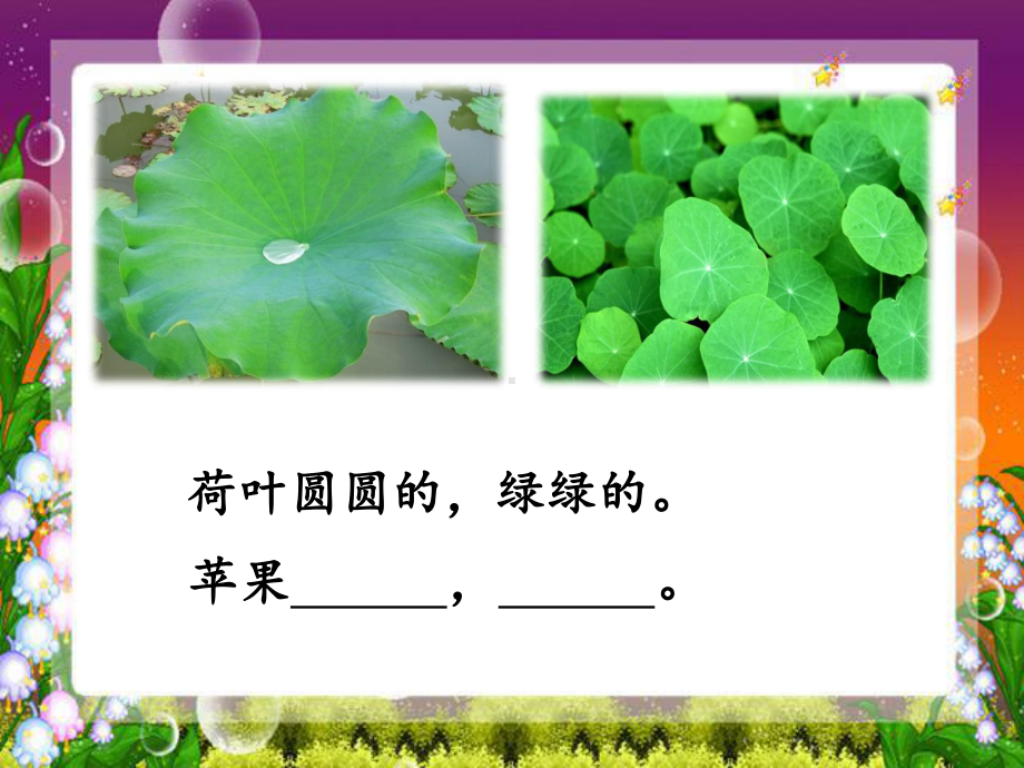 部编版课件《荷叶圆圆》ppt课件48.ppt_第1页