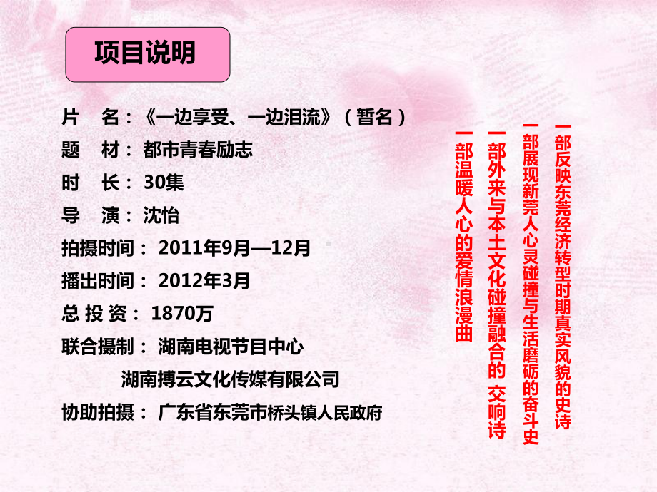 都市青春励志剧《一边享受、一边泪流》招商方案策划案.ppt_第2页