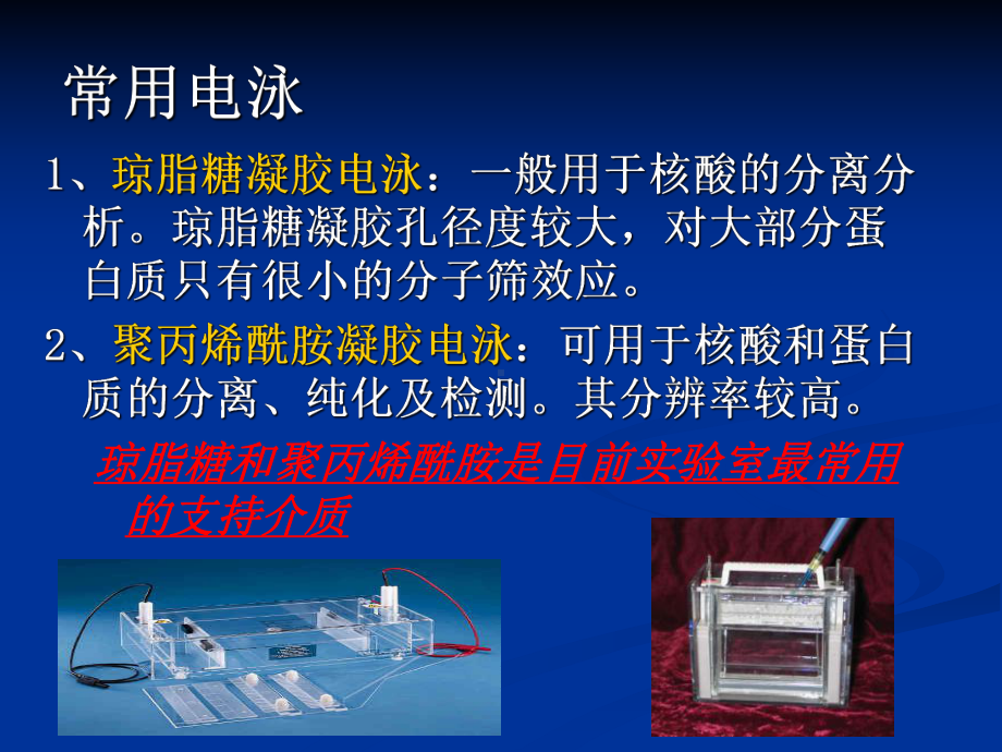 聚丙烯酰胺凝胶电泳课件.ppt_第3页