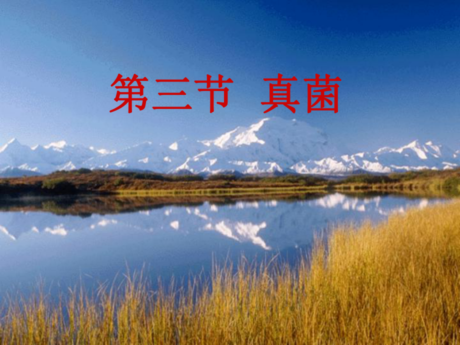 酵母菌是单细胞生物课件.ppt_第1页