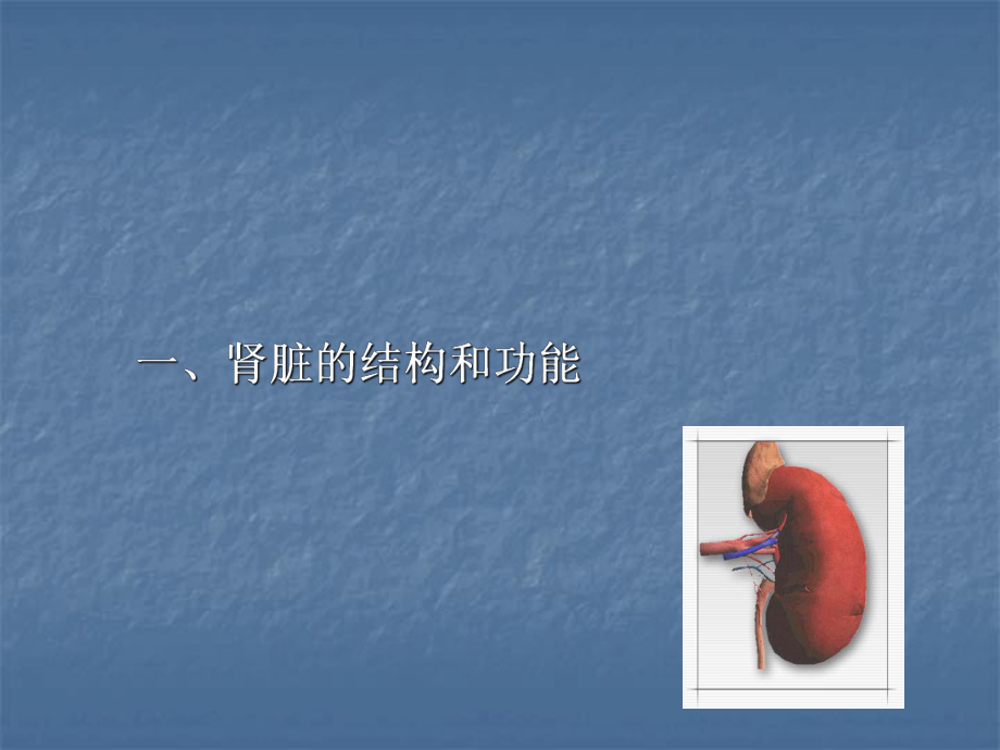 肾脏功能实验室检测(医学PPT课件).ppt_第2页