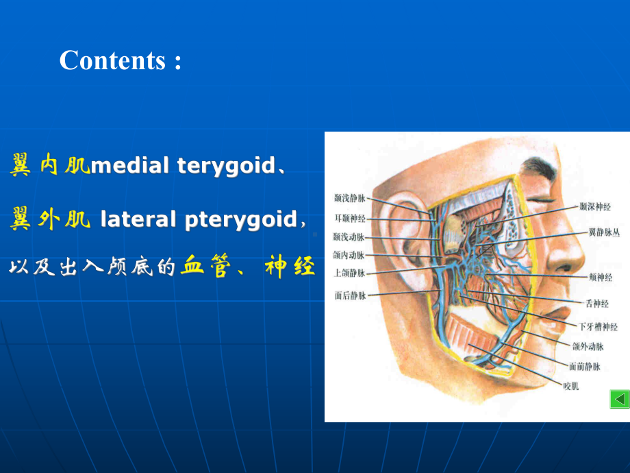 面侧深区应用解剖学课件.ppt_第3页