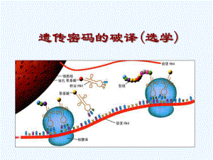 课外阅读遗传密码的破译课件.ppt