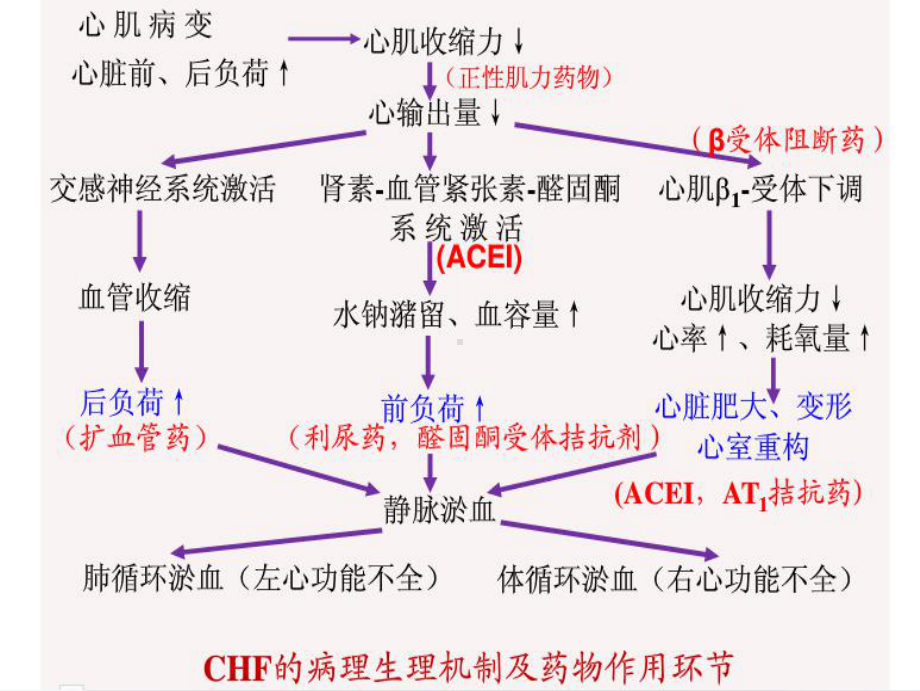 米力农强心苷类药-地高辛肼屈嗪哌唑嗪硝酸异山梨酯硝普钠非洛课件.ppt_第3页