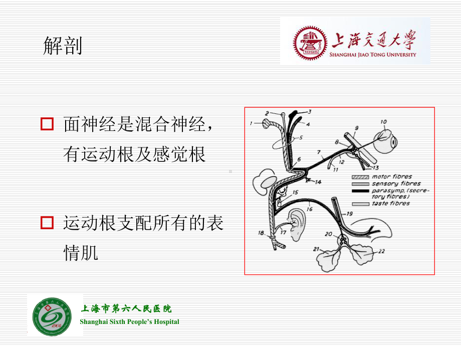 面神经疾病课件.ppt_第2页