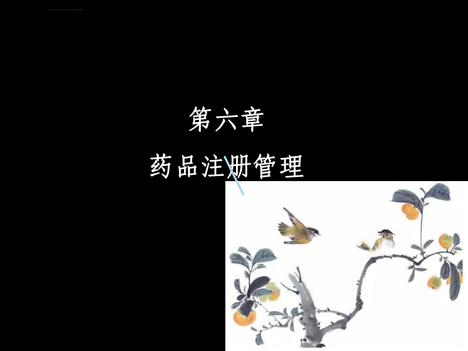 药事管理学课件之六药品注册管理课件.ppt_第1页