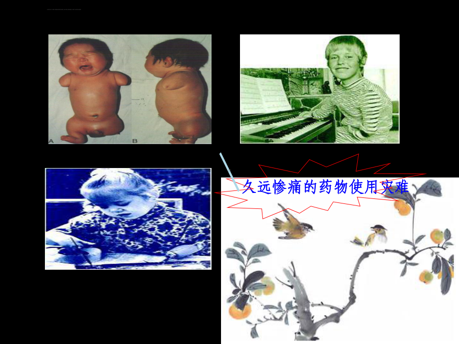 药事管理学课件之六药品注册管理课件.ppt_第3页