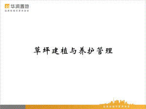 草坪建植与养护管理(ppt)课件.ppt